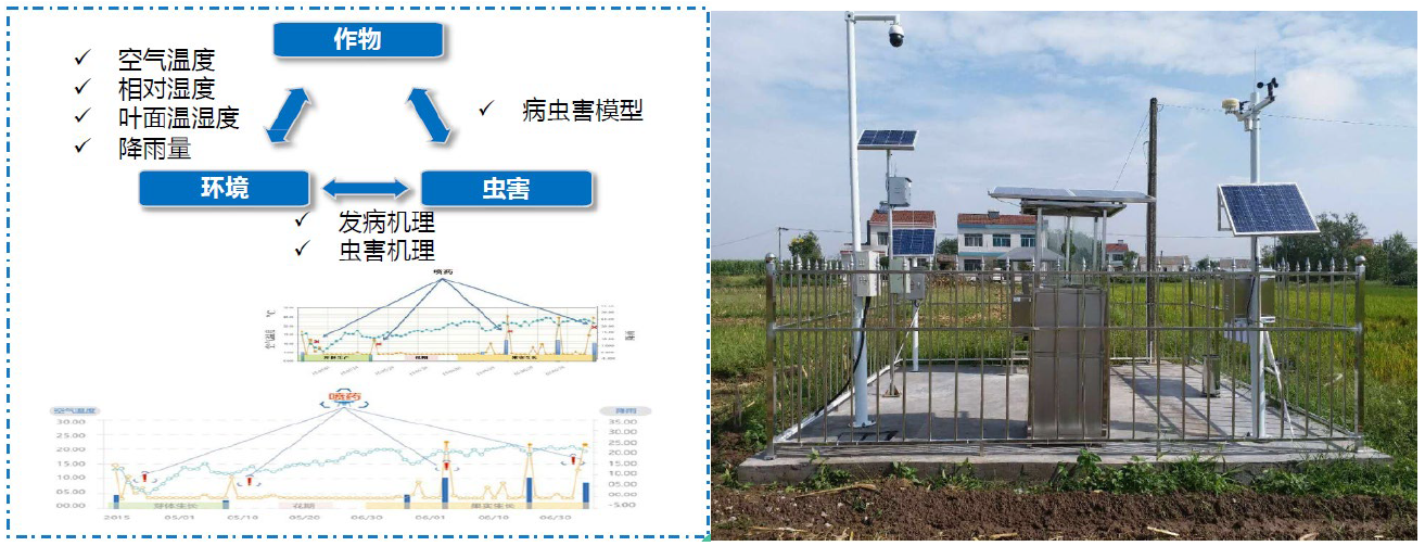 “5G+智慧農(nóng)業(yè)”的農(nóng)業(yè)大數(shù)據(jù)平臺該怎么做？