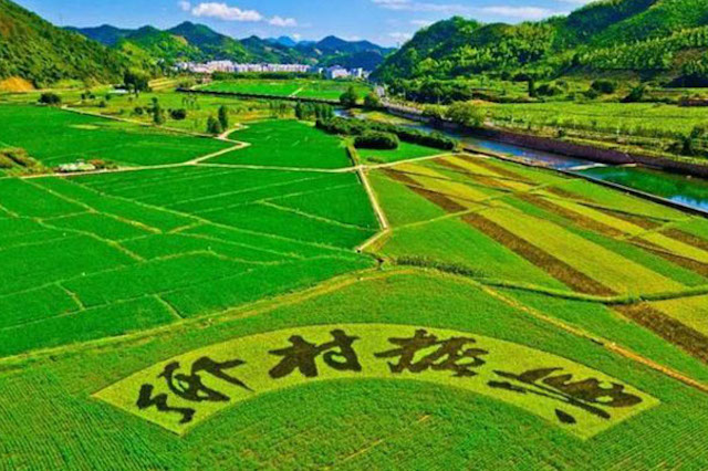 國家大力扶持鄉(xiāng)村振興，年輕人不可錯過的5個創(chuàng)業(yè)機會！