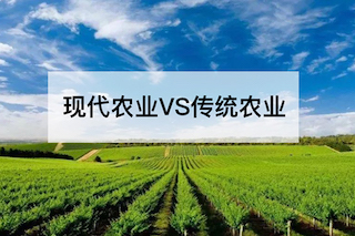 現(xiàn)代農(nóng)業(yè)VS傳統(tǒng)農(nóng)業(yè)，誰會更勝一籌？
