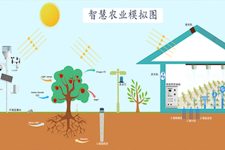 智慧農(nóng)業(yè)種植中，需要用到哪些傳感器？