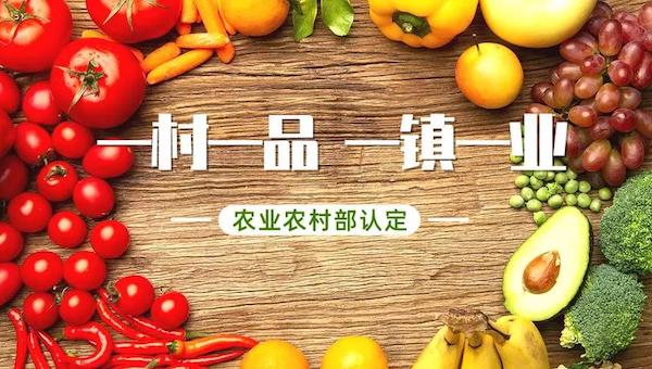 2021年全國(guó)一村一品示范鎮(zhèn)申請(qǐng)開始啦.jpeg