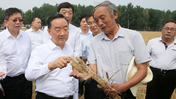 夏糧經(jīng)過國家各部門研判，產(chǎn)量創(chuàng)歷史新高.png