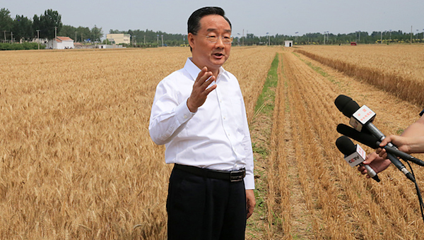 夏糧豐收了，全年經(jīng)濟就托底了.png