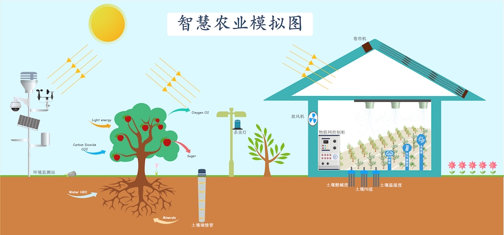 智慧農(nóng)業(yè)種植中，需要用到哪些傳感器.jpg