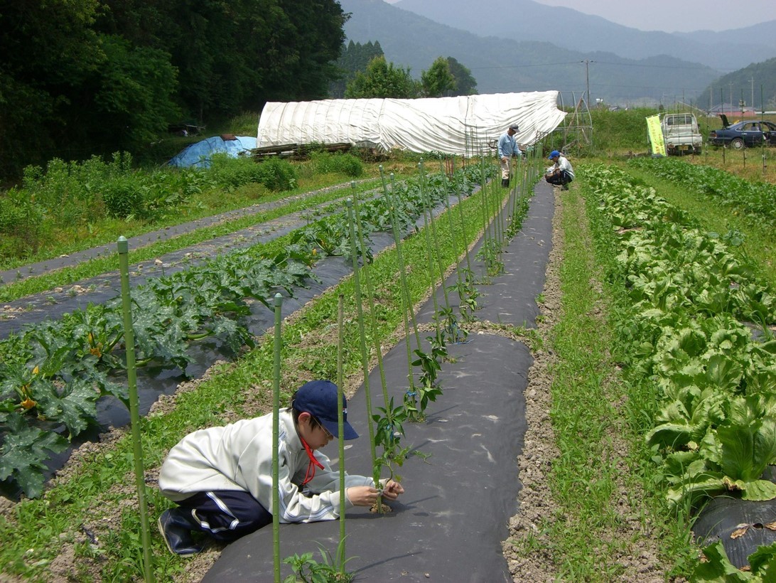 我們可以借鑒美國、日本的農(nóng)業(yè)發(fā)展模式，尋找屬于自己的農(nóng)業(yè)發(fā)展道路。.jpg